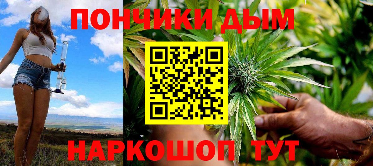 Канабис семена Россия
